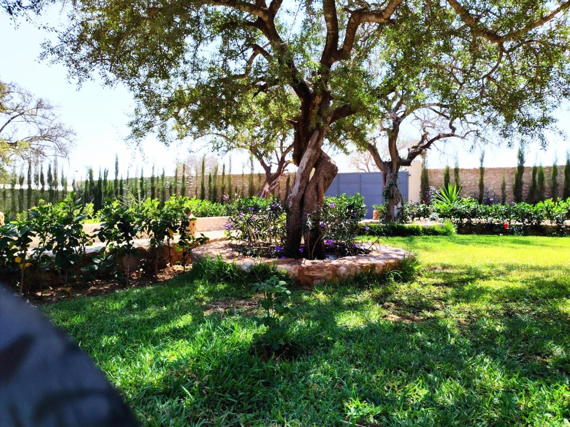 Villa Iyad Essaouira